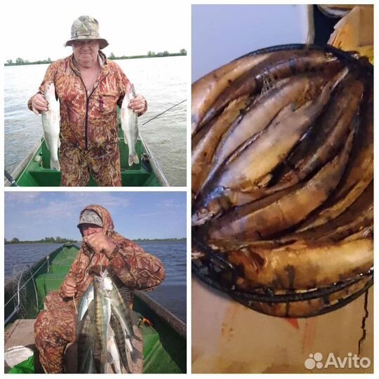 Рыбалка и Отдых в Астрахани, с. Вышка