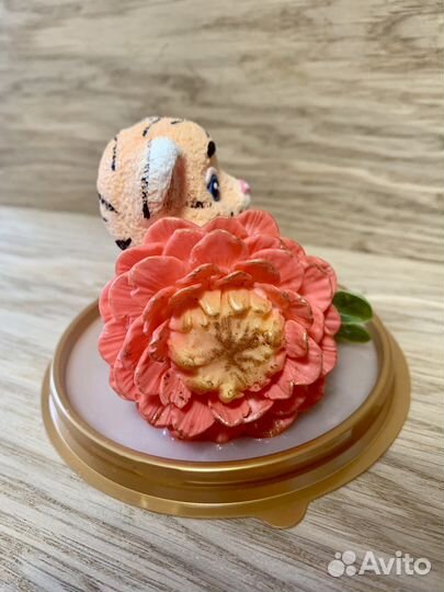 Мыло в куполе