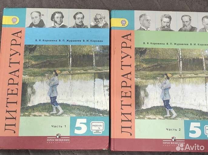 Учебники литературы 5класс 2 части