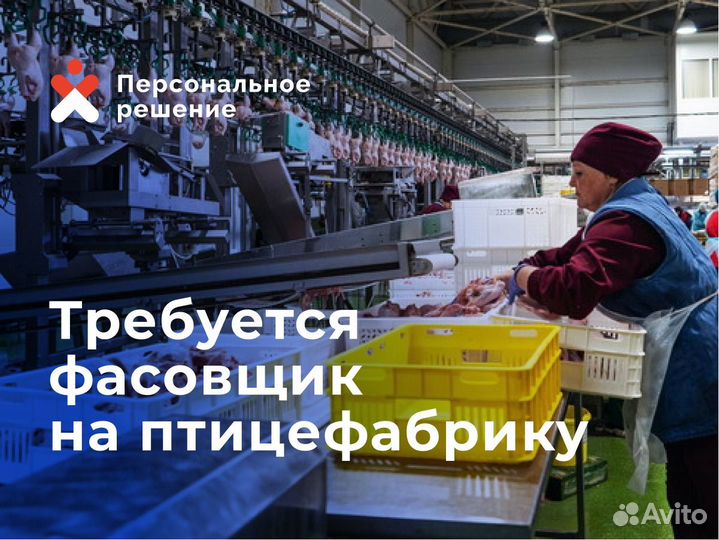Сортировщик на птицефабрику