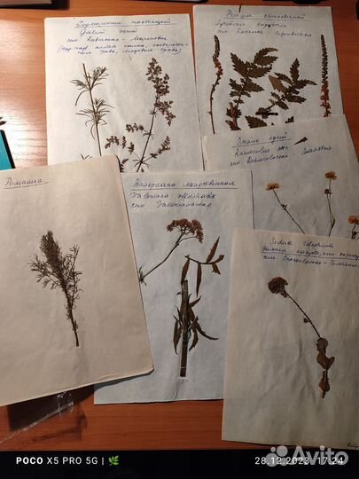 Сувениры набором