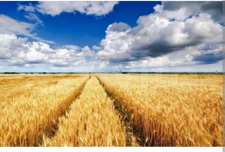 Участок 8,5 га (СНТ, ДНП)