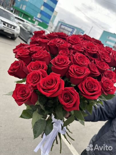 Розы красные 70 см Доставка