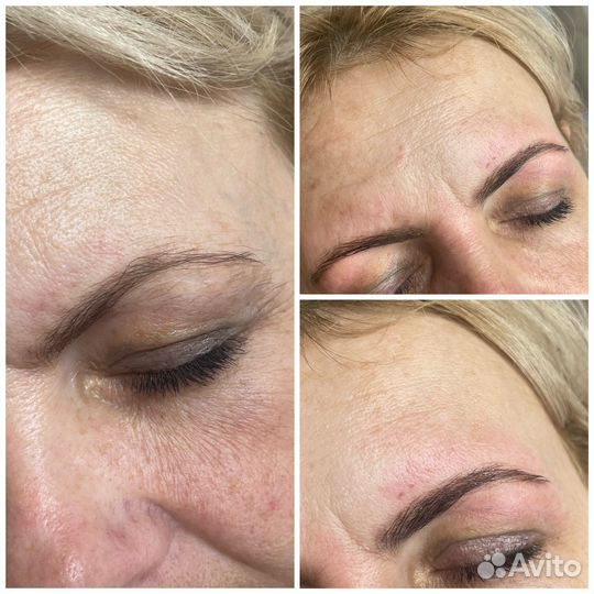 Мастер бровист