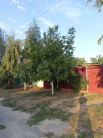 Дом 50 м² на участке 11 сот.