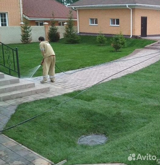 Рулонный газонУкладка Рулонного газонаГазон от про