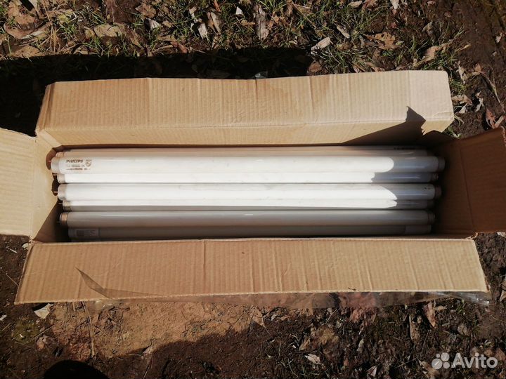 Лампа люминисцентная