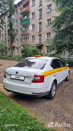 Skoda Octavia 1.4 AMT, 2017, 351 351 км