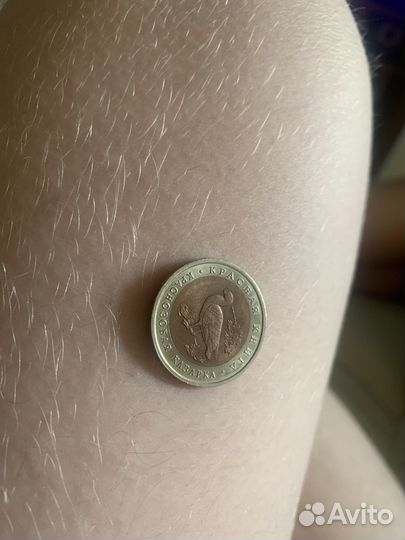 Монета 10 красная книга