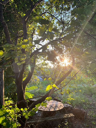 Дом 54,3 м² на участке 21 сот.