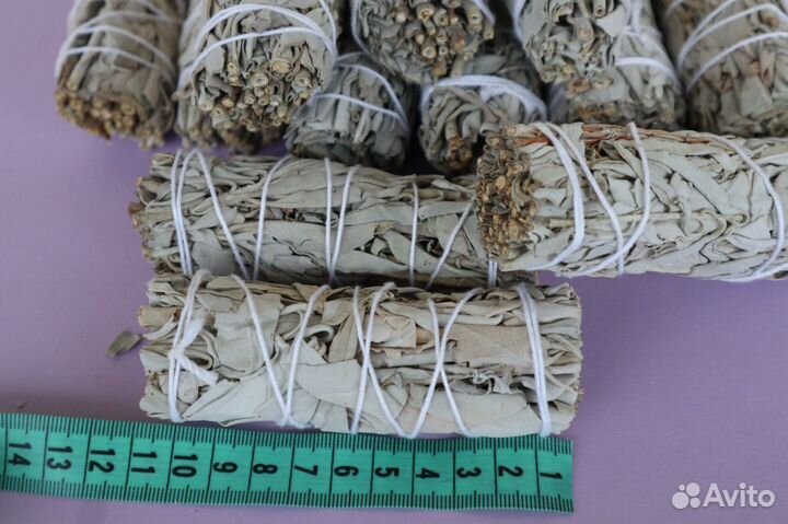 Шалфей Белый от 20шт опт для Озон