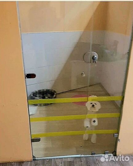 Передержка-зоогостиница для собак и кошек