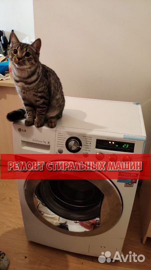 Стиральная машина. Ремонт