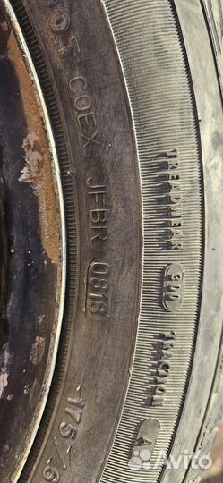 Goodyear Eagle Sport 175/65 R14 92T