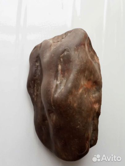 Доисторическая окаменелость