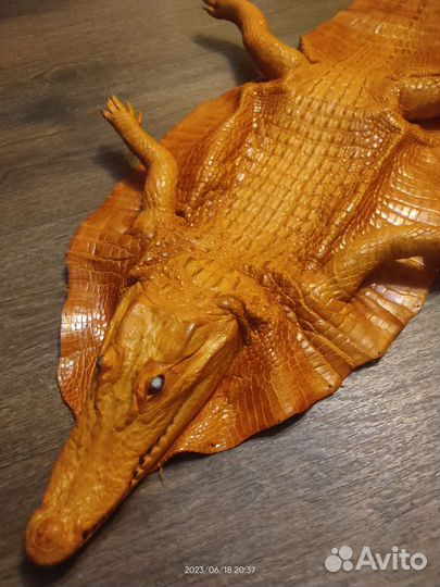 Кожа крокодила шкура