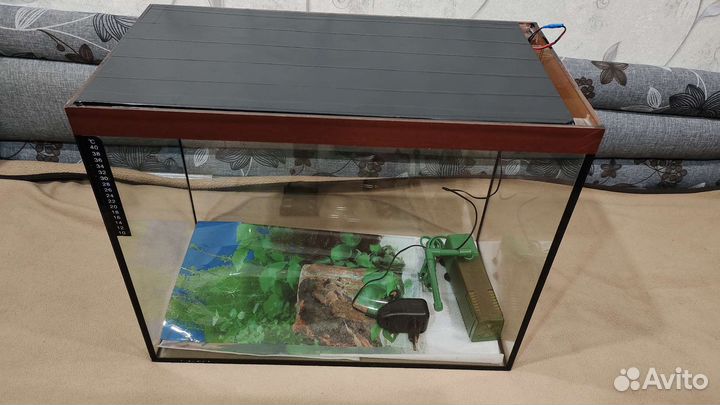 Аквариум