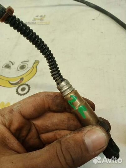 Датчик кислородный задний правый Audi Q7 4LB BAR