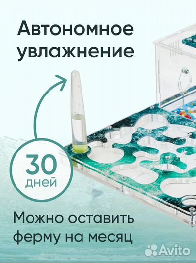 Большая муравьиная ферма giga c муравьями