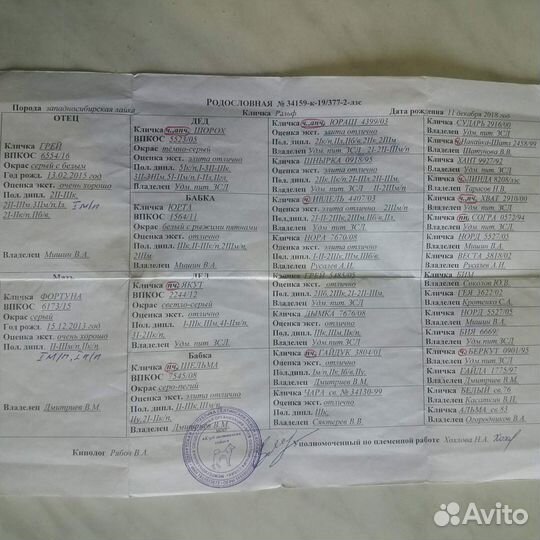 Рабочий кабель