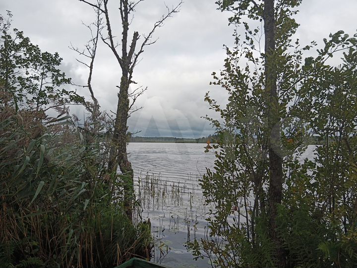 Участок 22,54 га (ИЖС)