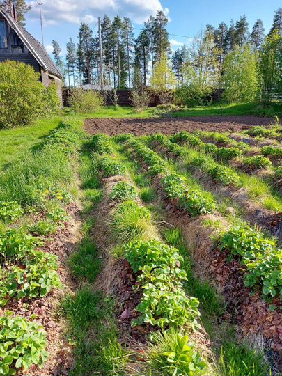 Участок 15 сот. (СНТ, ДНП)