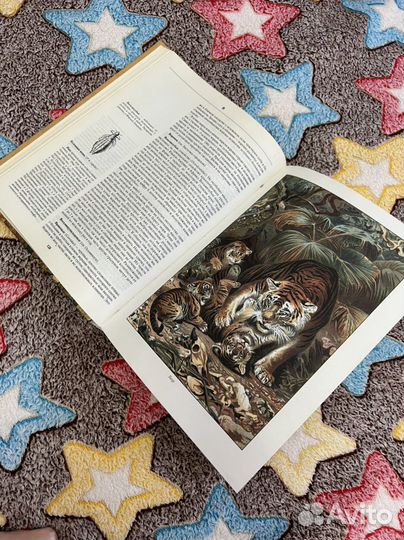 Книга Альфред Брем «Жизнь Животных»