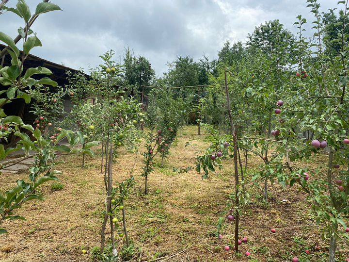 Дом 80 м² на участке 25 сот.