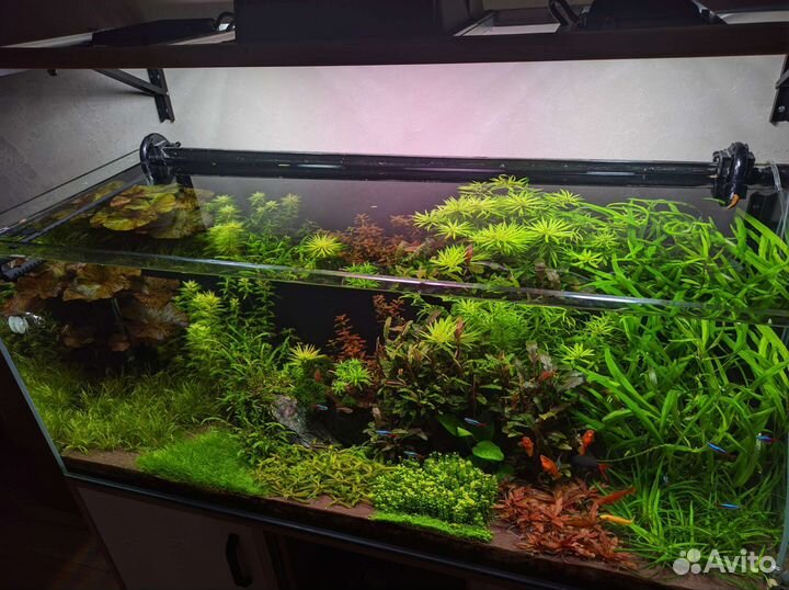 Аквариум с тумбой 250 литров