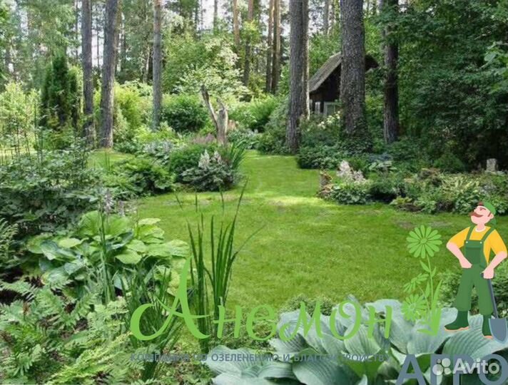 Рулонный газон с доставкой