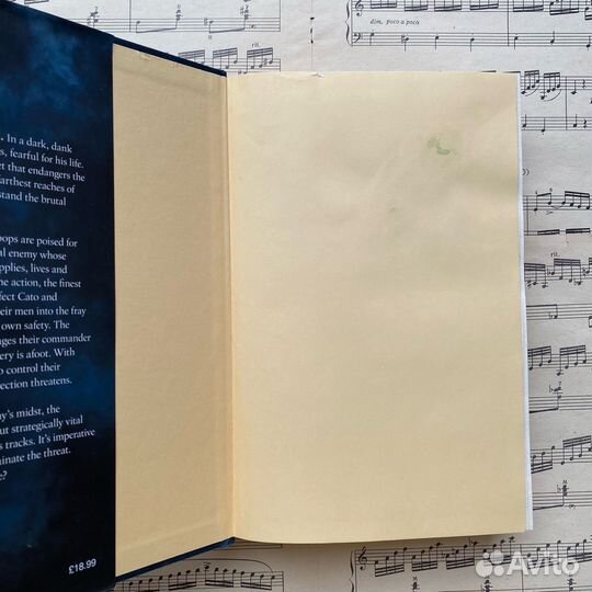 Книга Simon Scarrow Brothers in blood