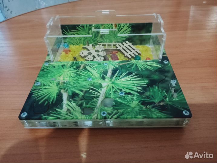 Муравьиная ферма