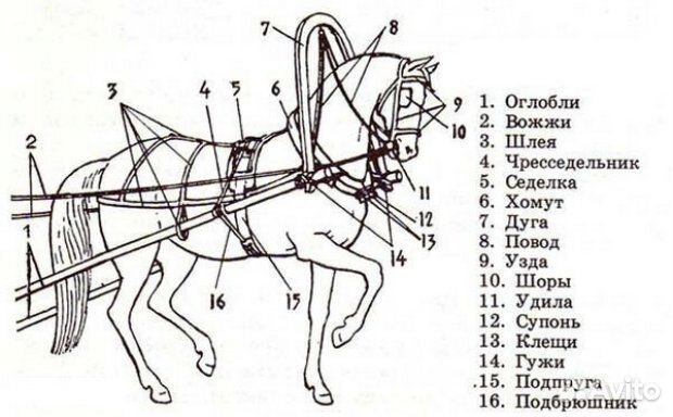 Какие бывают дуги для лошади: материалы для их изготовления