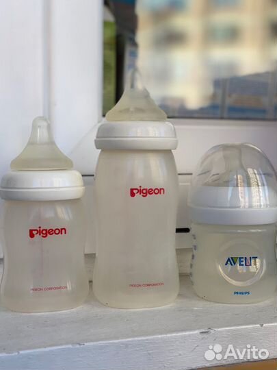 Бутылка для кормления Pigeon и Avent