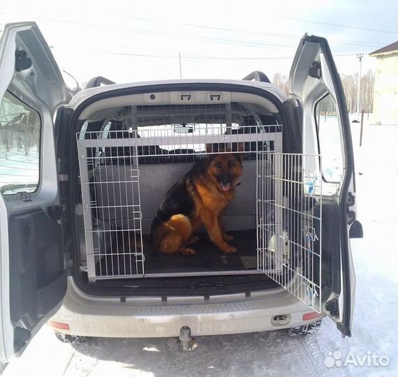 Отлов животных доставка до вет клиники