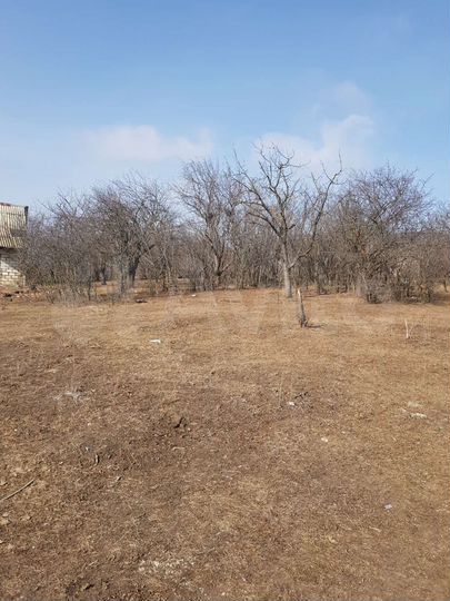 Участок 8 сот. (СНТ, ДНП)