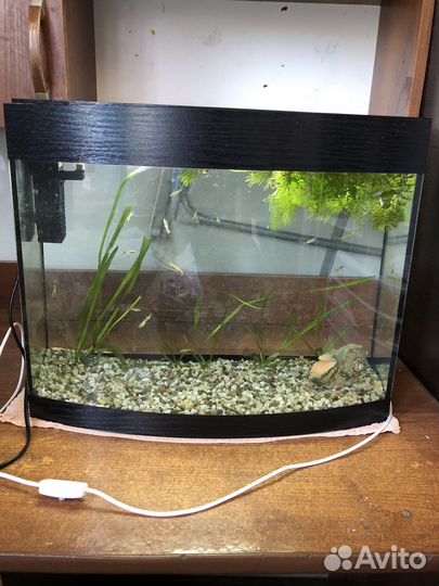 Аквариум