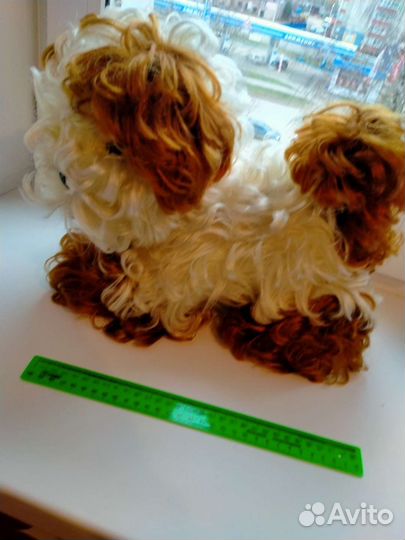 Собака СССР