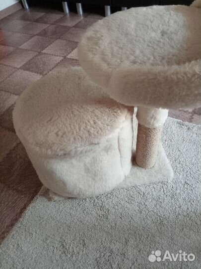 Когтеточка домик для кошки бу