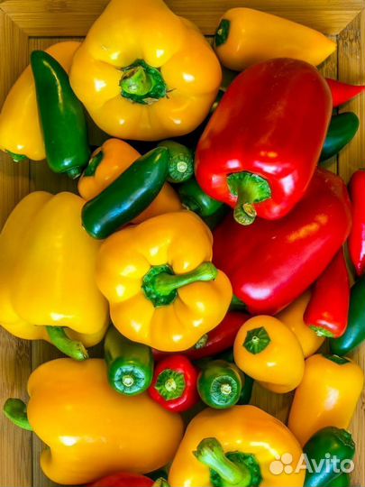 Сапропель / органическое удобрение