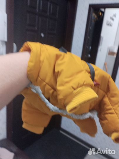 Одежда для маленьких собак