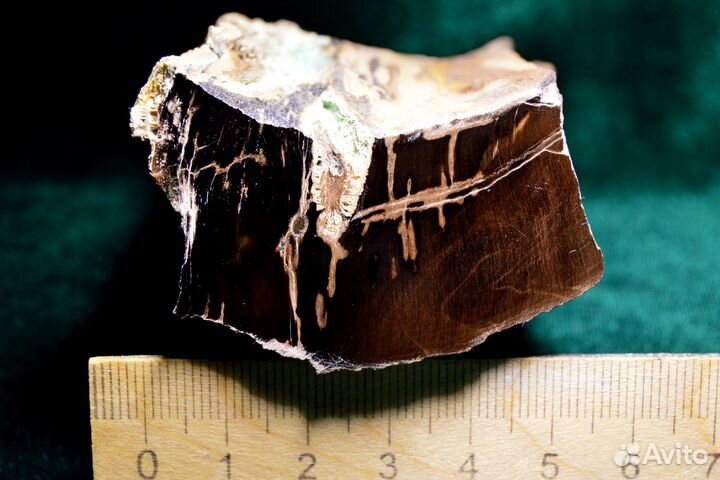 Окаменелое дерево - Малахит