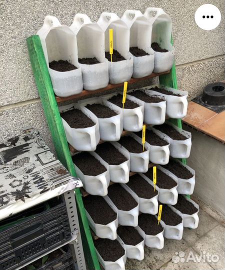 Пластиковые канистры 5л