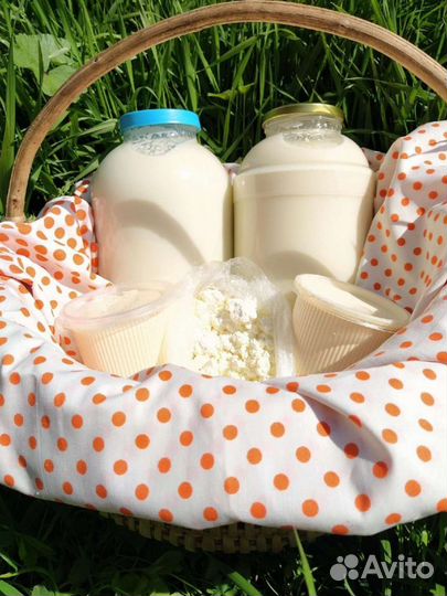 Молочные продукты