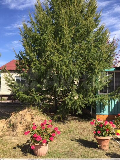 Дом 76,8 м² на участке 20 сот.