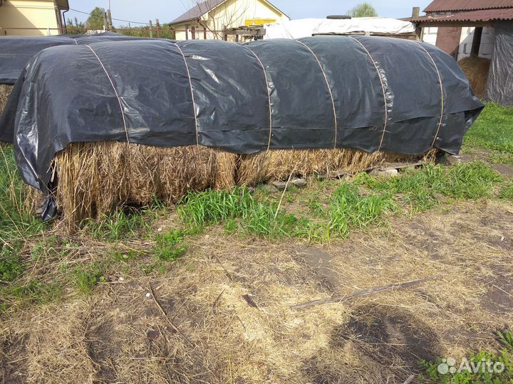 Сено в рулонах