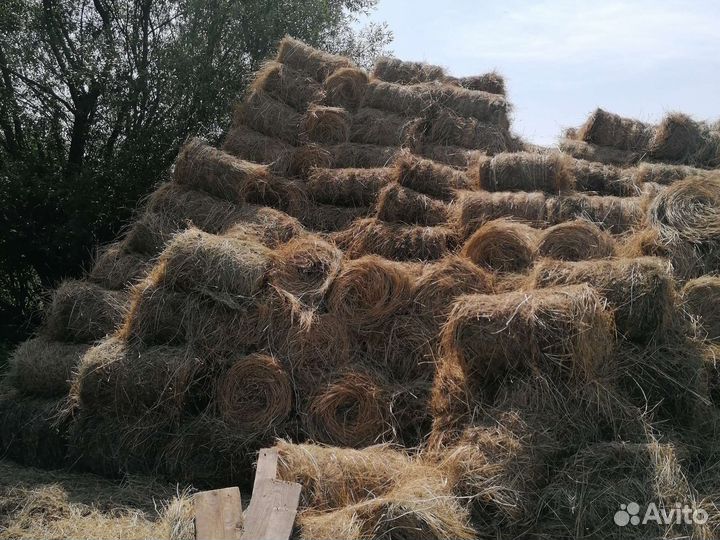 Сено луговое