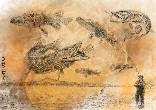 Охотничьи картины, графика