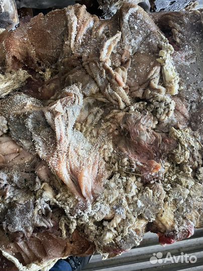 Книжка говядина для собак