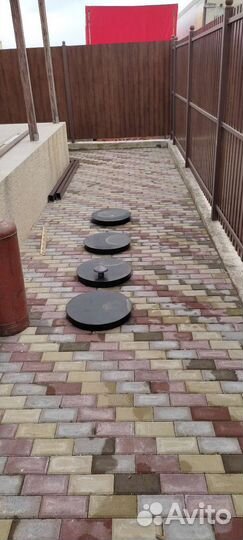 Биосептики